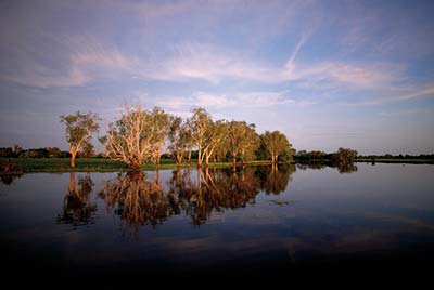 -kakadu_np_6.jpg