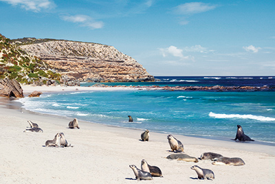 -kangaroo_island_adventure_2.jpg