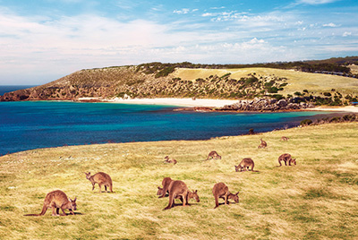 Australien Golfreisen und GolfurlaubAustralien Golfreisen und Golfurlaub