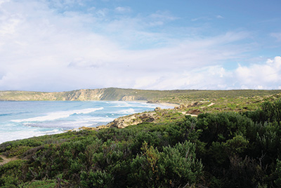 Australien Golfreisen und GolfurlaubAustralien Golfreisen und Golfurlaub