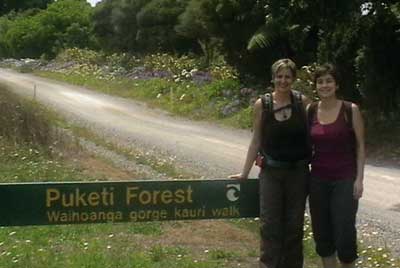 -kauri_forest_walks_5.jpg