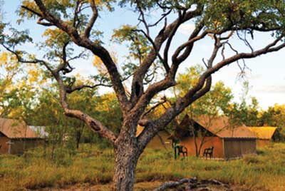 -kings_canyon_resort_6.jpg