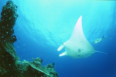 Australien Golfreisen und Golfurlaub
