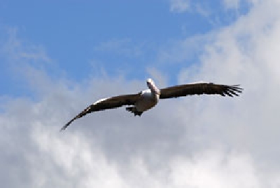 Australien Golfreisen und GolfurlaubAustralien Golfreisen und Golfurlaub