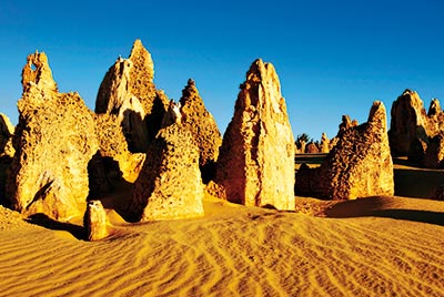 Pinnacles Day Tour