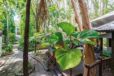 -reef_retreat_6.jpg