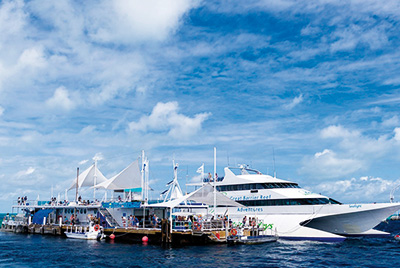 Reef Sleep & Great Barrier Reef Adventure