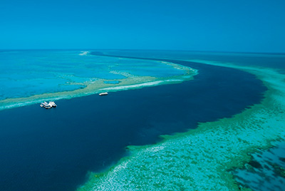 Reef Sleep & Great Barrier Reef Adventure