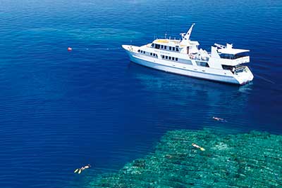 Spirit of Freedom Tauchkreuzfahrt Coral Sea 5 Tage ab Cairns