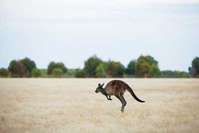 Australien Golfreisen und GolfurlaubAustralien Golfreisen und Golfurlaub