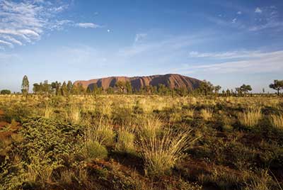 -uluru_kangaroo_dreaming_safari_4.jpg