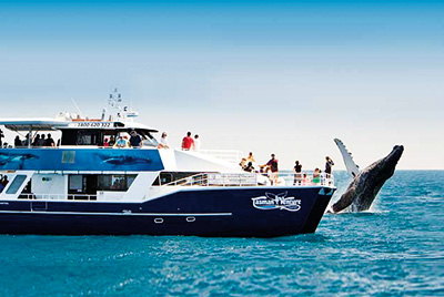 -whale_watch_2.jpg