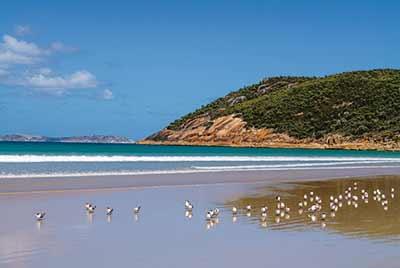 -wilsons_promontory_5.jpg